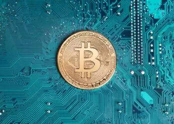 trading bitcoin untuk pemula