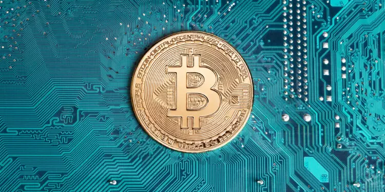 Biar Cuan Melimpah Ikuti 6 Tips Trading Bitcoin Untuk Pemula Ini 3490